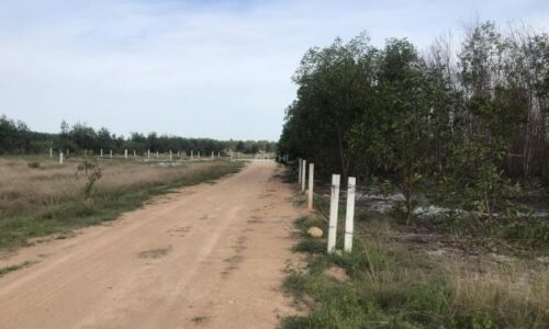 Bán đất mặt tiền đường sỏi khu dự án rừng vàng biển hùng vương thị xã lagi bình thuận