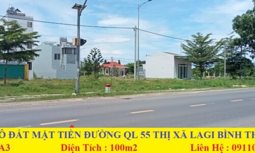 Bán đất mặt tiền đường tôn đức thằng ( QL55) ngay khu dân cư dâu tằm giá rẻ thị xã lagi