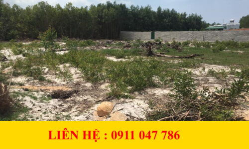 Lô Đất VIP Tại Hẻm Nguyễn Trãi – Thị Xã Lagi, Bình Thuận: Đầu Tư Sinh Lời Hấp Dẫn
