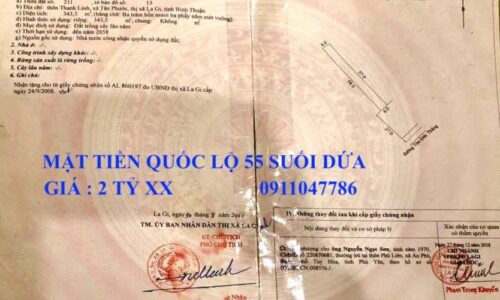 Cơ Hội Đầu Tư Độc Đáo: Căn Nhà Mặt Tiền Đường Tôn Đức Thắng, Thị Xã Lagi, Bình Thuận