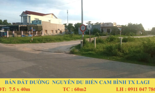 Đất Mặt Tiền Đường Nguyễn Du Biển Cam – Cơ Hội Đầu Tư Sáng Tạo ở Thị Xã Lagi, Bình Thuận