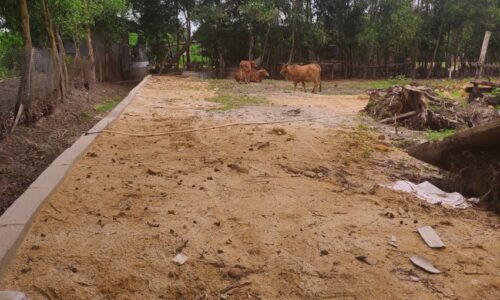 Lô đất đẹp tại Phường Tân Thiện, Thị xã Lagi, Bình Thuận – Cơ hội đầu tư và an cư tuyệt vời