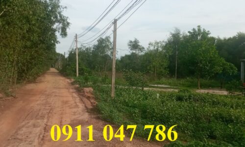 Bán Lô Đất Hẻm Lý Nam Đế, Xã Tân Phước, Thị Xã Lagi, Bình Thuận – Cơ Hội Đầu Tư Sinh Lời