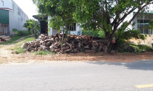 Bán Lô Đất Mặt Tiền Đường Nguyễn Chí Thanh, Xã Tân Bình, Thị Xã Lagi, Bình Thuận