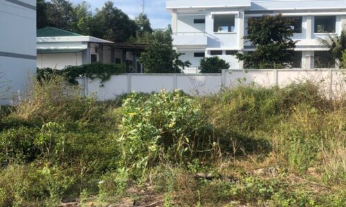 ĐẤT NỀN HOÀNG DIỆUH 2 – ĐẦU TƯ SINH LỜI NGAY