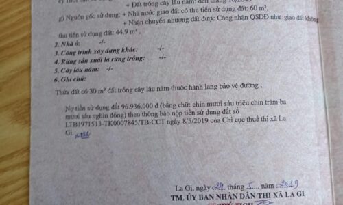 Cơ Hội Đầu Tư Hấp Dẫn – Mặt Tiền Nguyễn Tri Phương, Tân Bình, Lagi