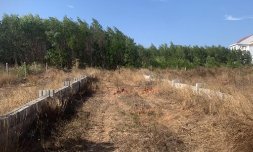 Cơ hội đầu tư không thể bỏ lỡ tại thôn 4 Sơn Mĩ, Hàm Tân, Bình Thuận!