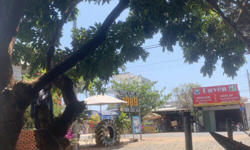 Cơ Hội Đầu Tư Đất Mặt Tiền Đường QL55 – Hàm Tân, Bàu Giêng, Thắng Hải