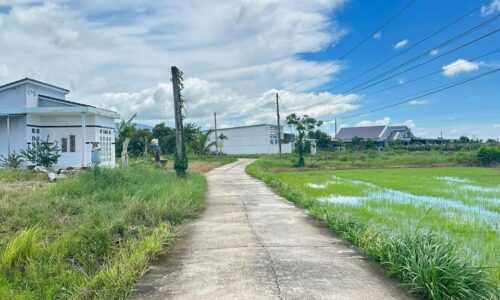 BÁN NHANH – ĐẤT ĐẸP 2.300m² – CƠ HỘI ĐẦU TƯ TUYỆT VỜI!