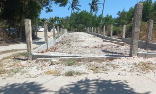 CHANCE OF A LIFETIME! Đất mặt tiền đẹp tại trung tâm Tân An, Lagi đang chờ đón chủ mới!