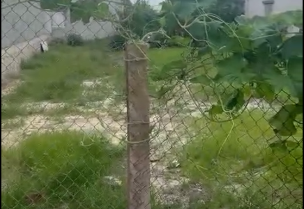 Cơ hội đầu tư tuyệt vời tại Tân Phước Lagi!