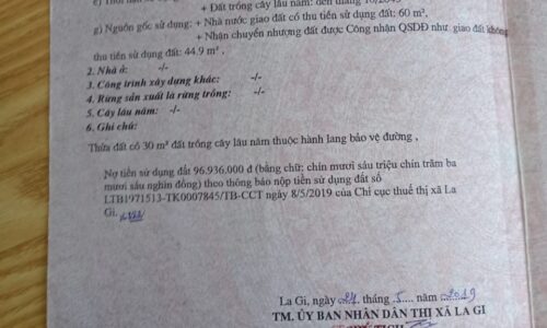 Cơ Hội Đầu Tư Hấp Dẫn tại Mặt Tiền Nguyễn Tri Phương, Tân Bình, Lagi, Bình Thuận