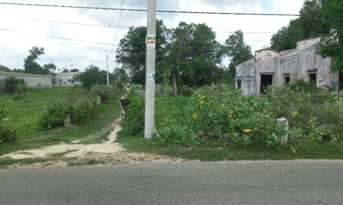 Cơ Hội Đầu Tư Đất Biển Đẹp – Lô Đất Mặt Tiền Trần Quang Diệu, Tân Phước, Lagi, Bình Thuận