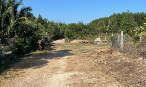 ĐẤT RỘNG – TIỆN ÍCH ĐẦY ĐỦ – TIỀM NĂNG PHÁT TRIỂN